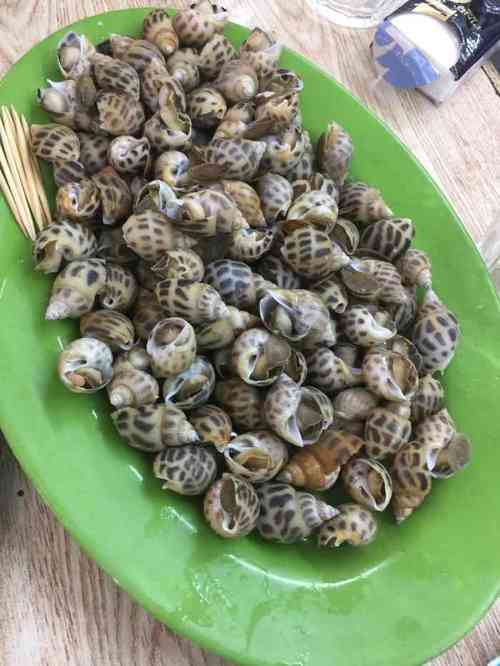 Các khối diễu binh, diễu hành Quân khu 7 sẵn sàng cho ngày đại lễ của đất nước