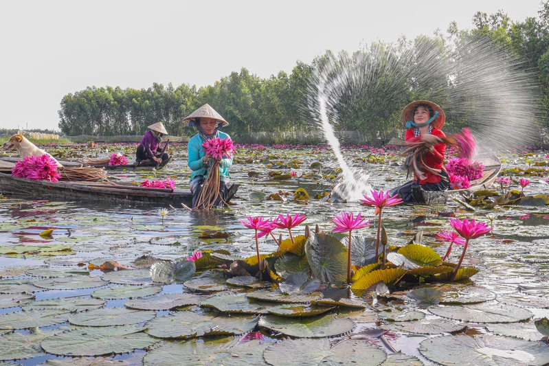 Thương nhớ, theo nước nổi